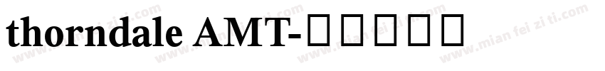 thorndale AMT字体转换